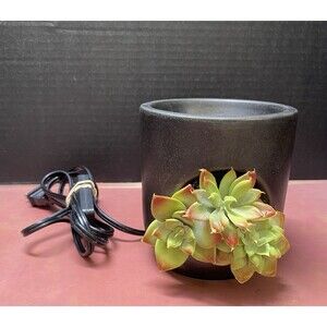 Succulent Wax Fragrance Warmer Stoneware Green Faux Cactus Plants Aromatherapy